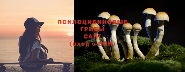 героин Алексин