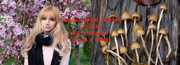 героин Алексин