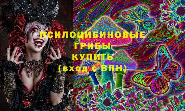 а пвп мука Алзамай