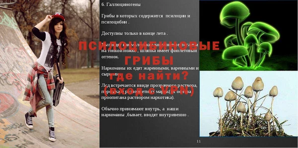соль ск Алексеевка